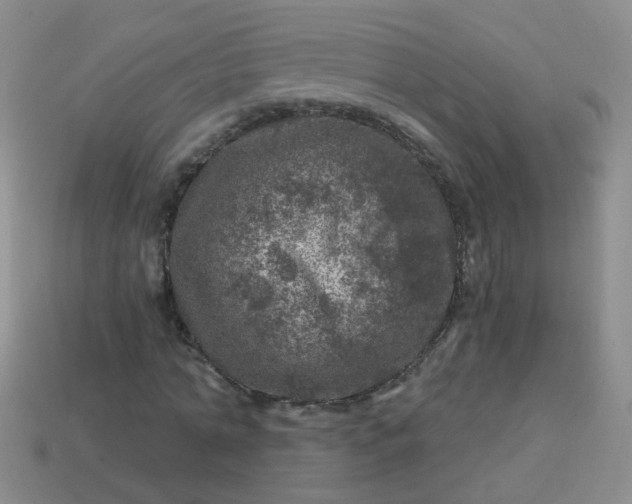 X0000113860774200910081705