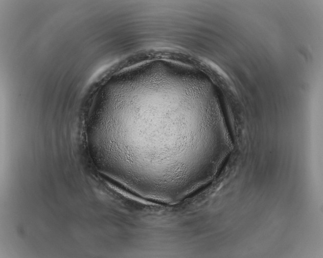 X0000113860775200910081705