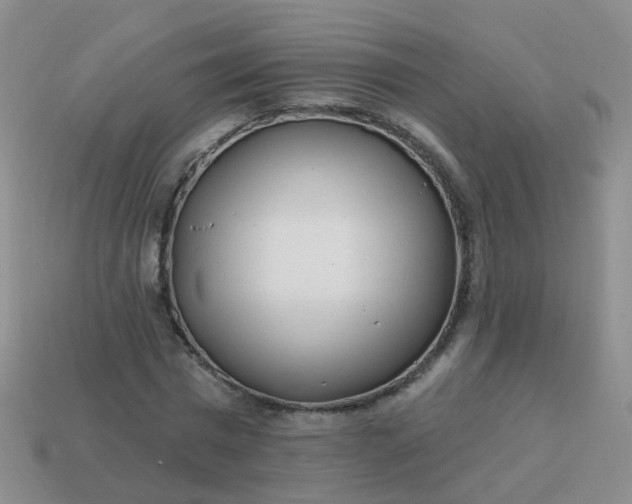 X0000113860777200910081705
