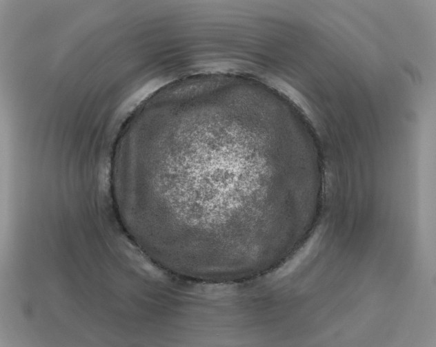 X0000113860778200910081705
