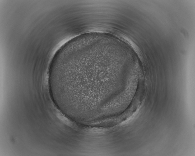 X0000113860779200910081705