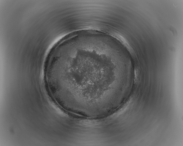 X0000113860780200910081705