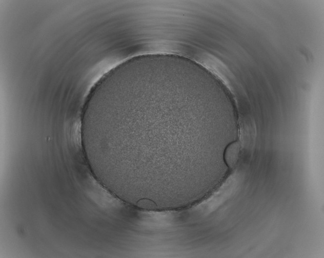 X0000113860781200910081705