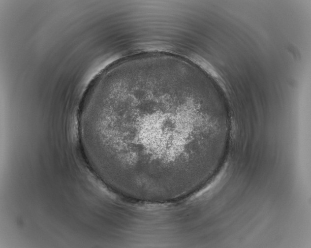 X0000113860782200910081705