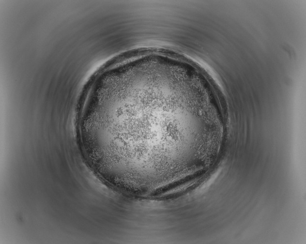 X0000113860783200910081705