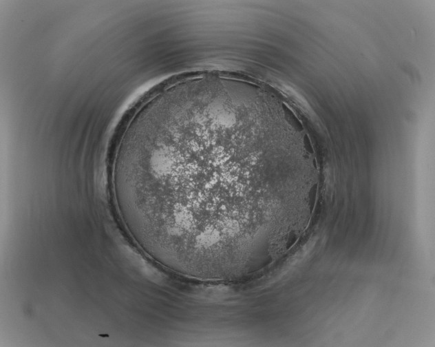 X0000113860784200910081705