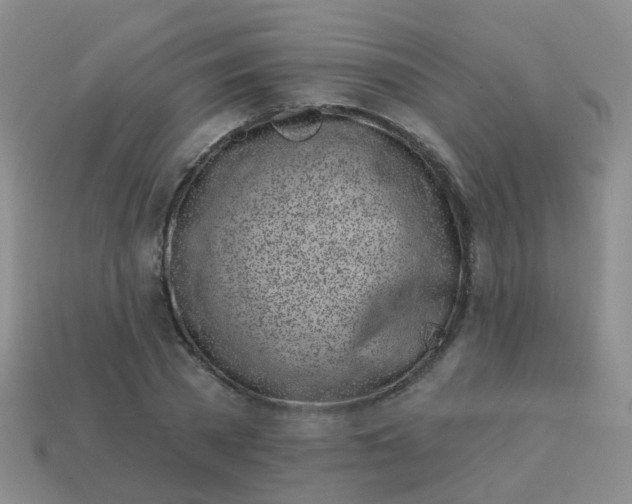 X0000113860785200910081705