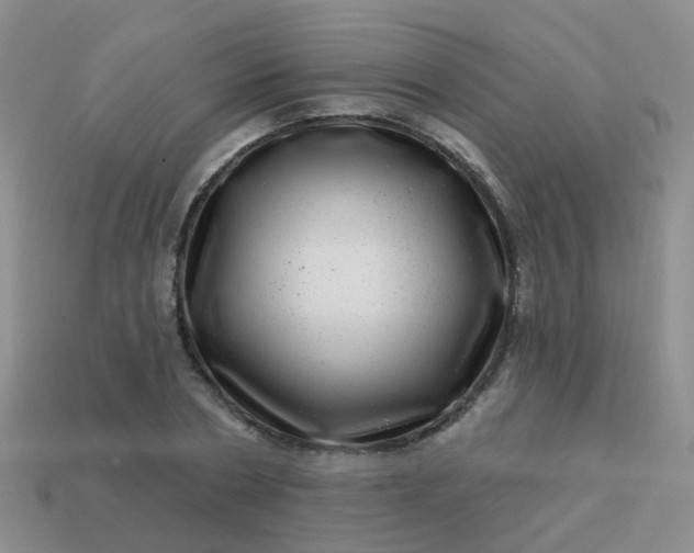 X0000113860786200910081705