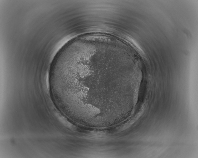 X0000113860788200910081705