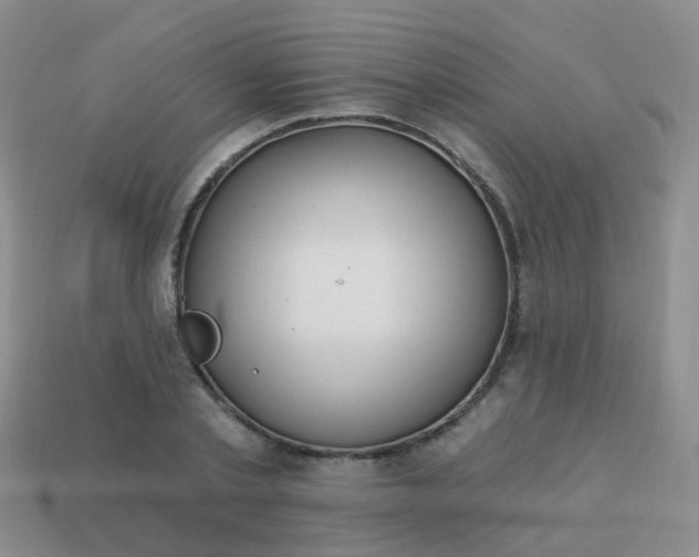 X0000113860789200910081705