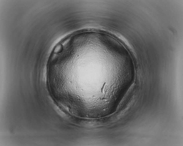 X0000113860791200910081705