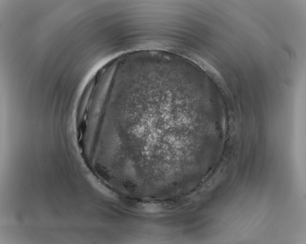 X0000113860792200910081705