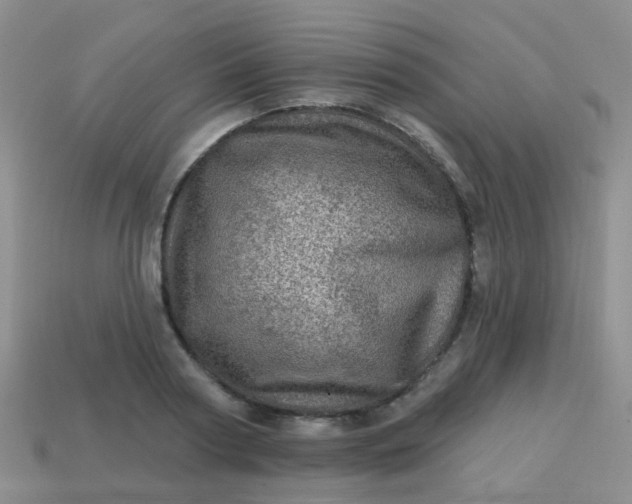 X0000113860794200910081705