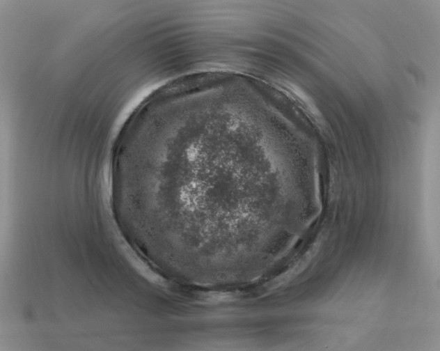 X0000113860796200910081705