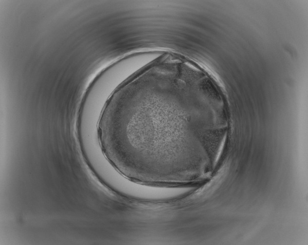 X0000113860797200910081705