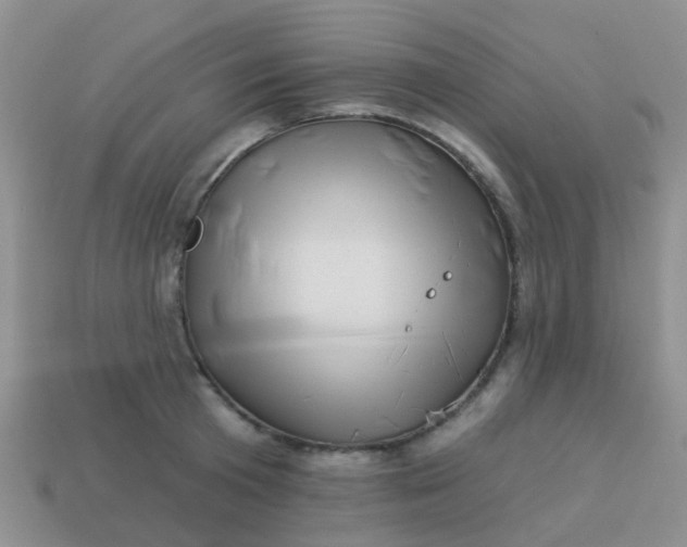 X0000113860801200910081705