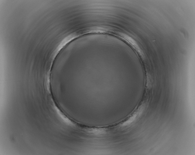 X0000113860802200910081705
