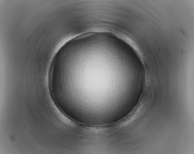 X0000113860803200910081705