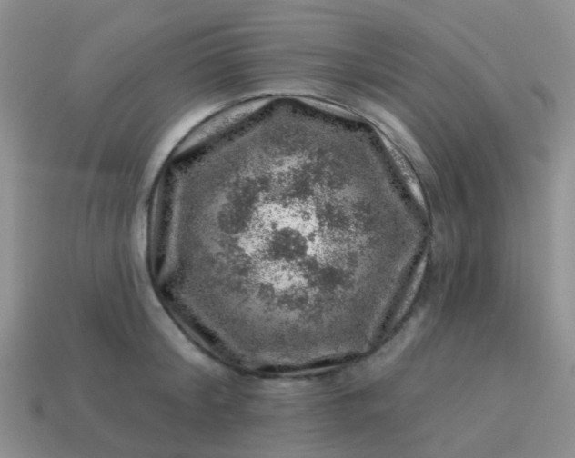 X0000113860804200910081705
