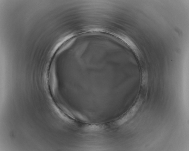 X0000113860806200910081705
