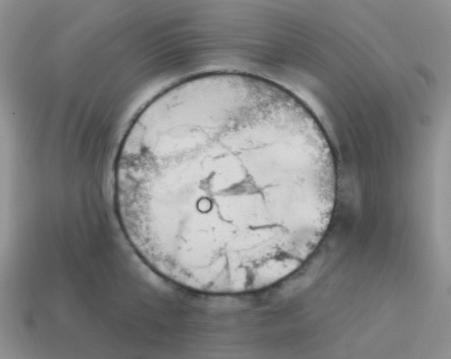 X0000113860807200910081705
