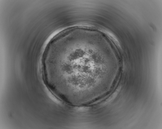 X0000113860808200910081705