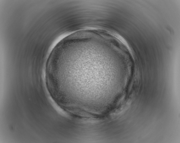 X0000113860811200910081705