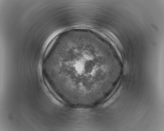 X0000113860812200910081705