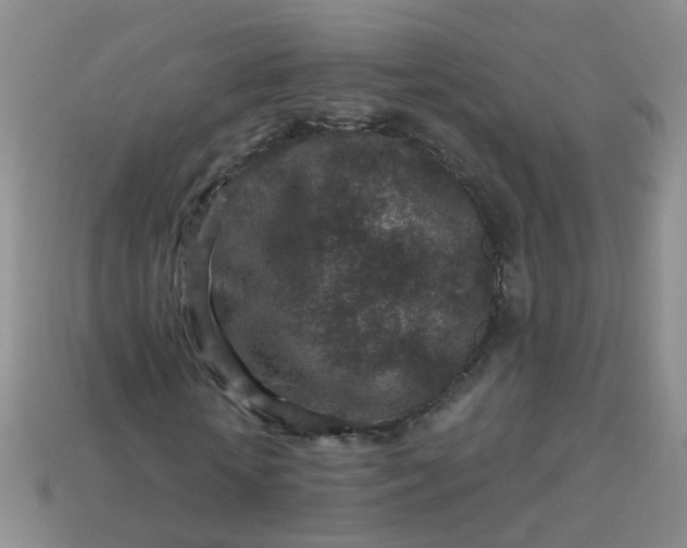 X0000113860818200910081704