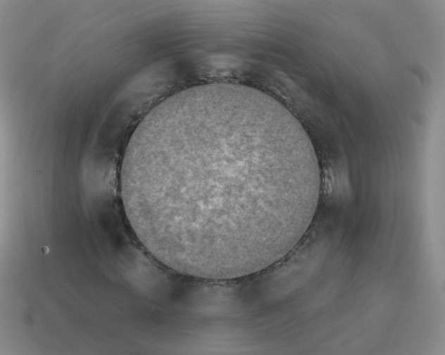X0000113860820200910081704