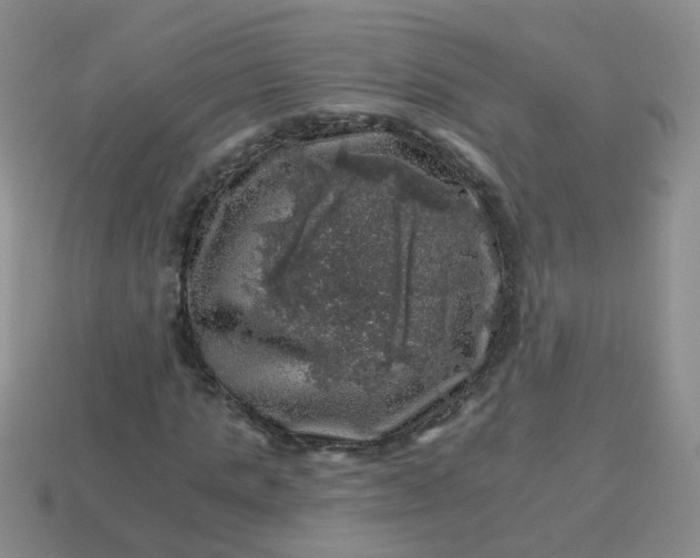 X0000113860821200910081704