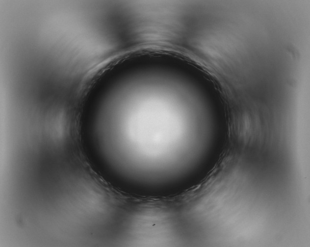 X0000113860822200910081704