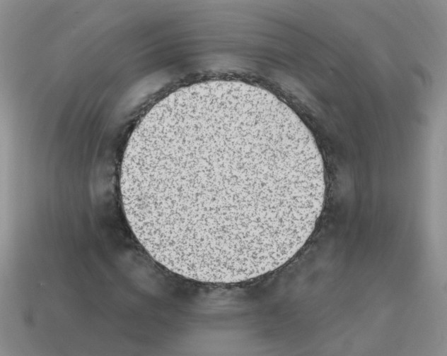 X0000113860824200910081704