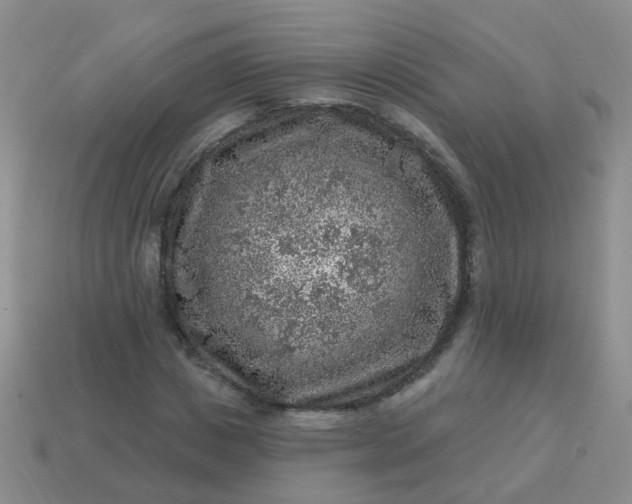 X0000113860825200910081704