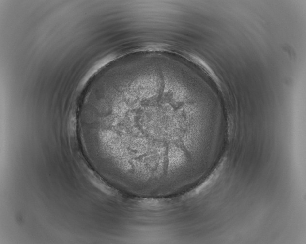 X0000113860827200910081704
