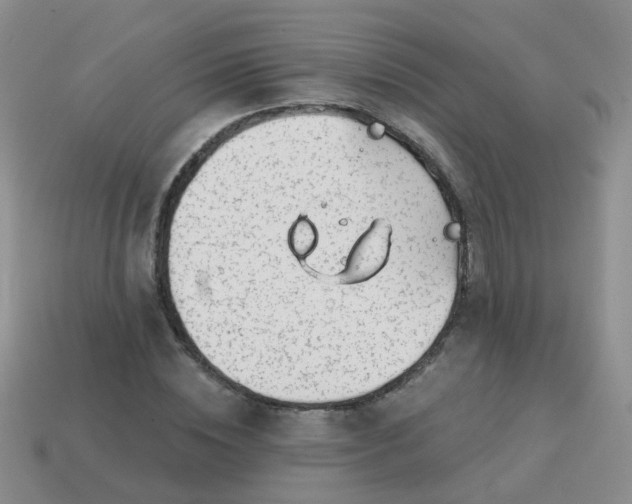 X0000113860828200910081704