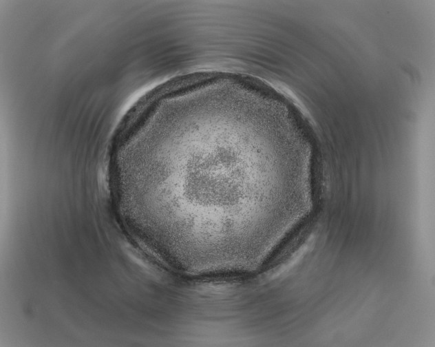 X0000113860830200910081704