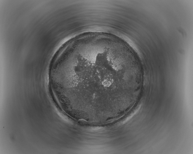 X0000113860837200910081704