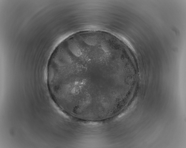 X0000113860839200910081704