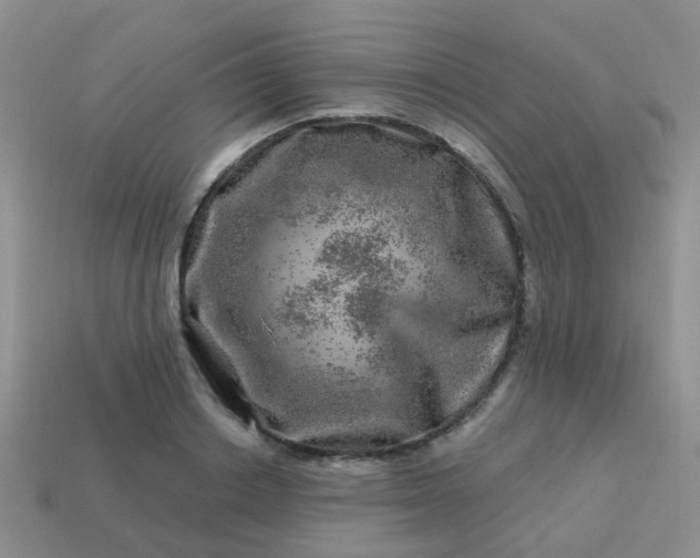 X0000113860842200910081704