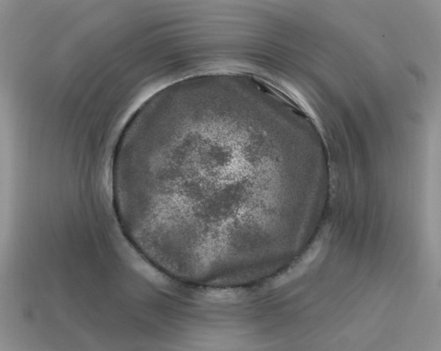 X0000113860843200910081704