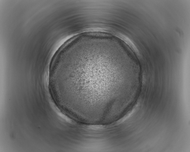 X0000113860844200910081704