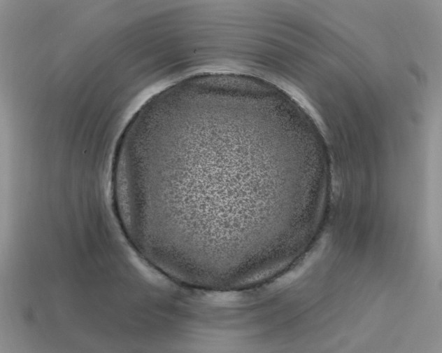 X0000113860845200910081704