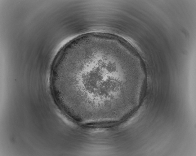 X0000113860846200910081704