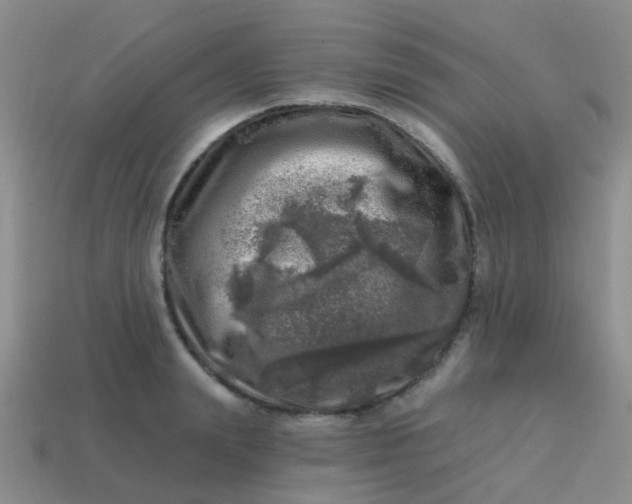 X0000113860847200910081704