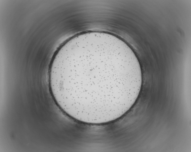 X0000113860848200910081704