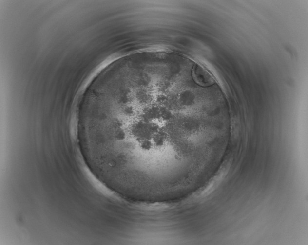 X0000113860851200910081704