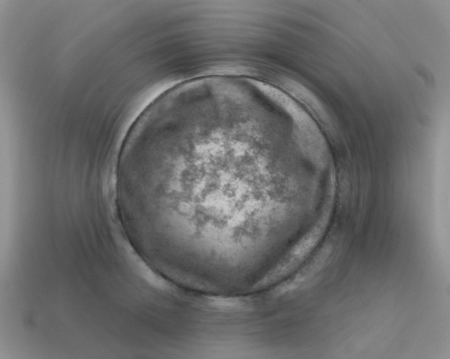 X0000113860852200910081704