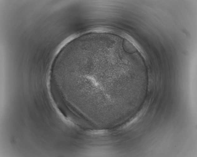 X0000113860853200910081704