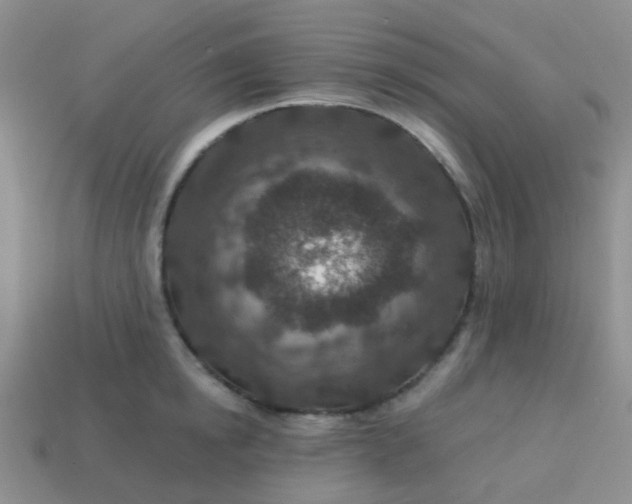 X0000113860854200910081704